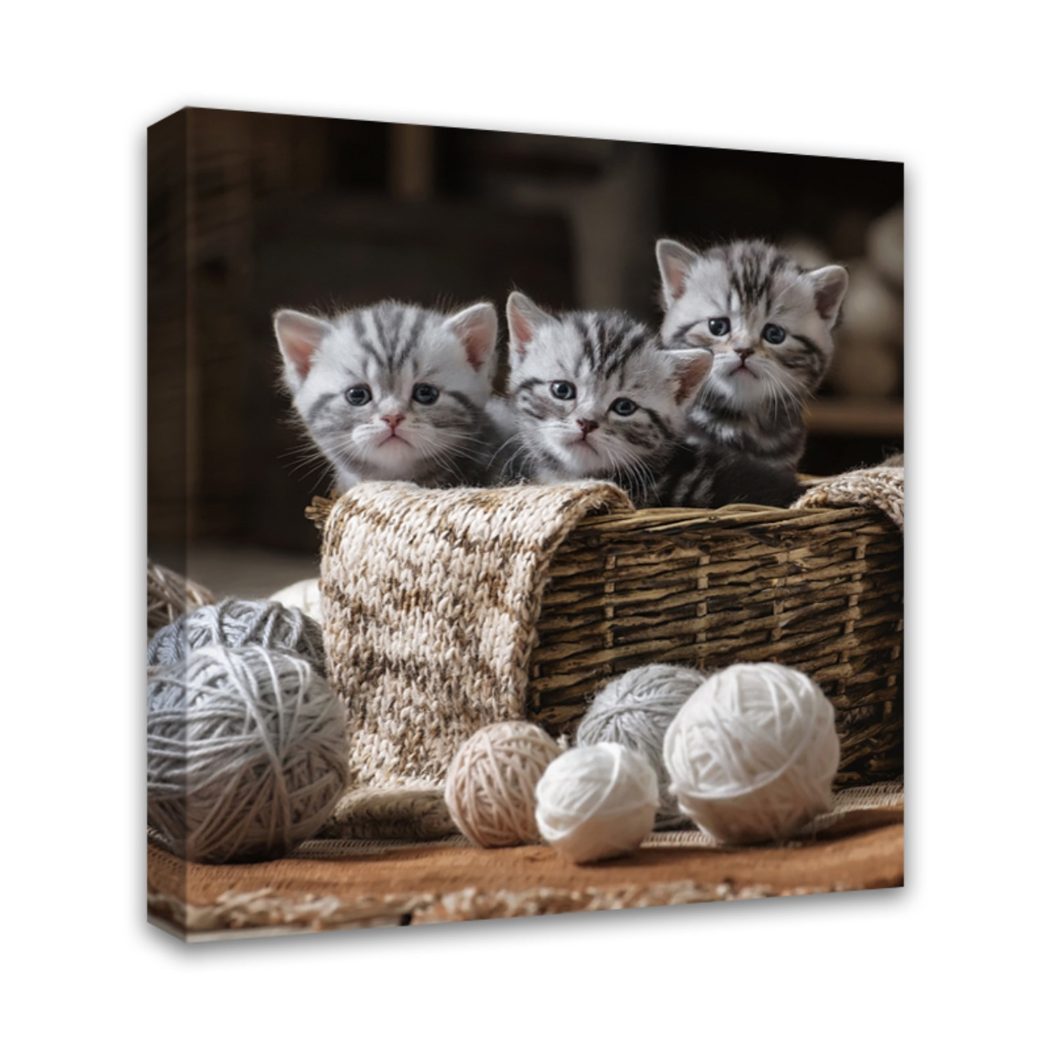 Картина на подрамнике "Котята" 30*30 см  4194706