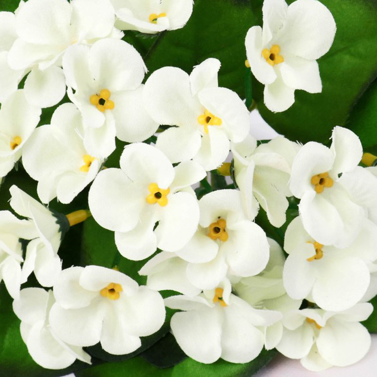 Букет "Герань душистая" белая 4*17 см, 4642692