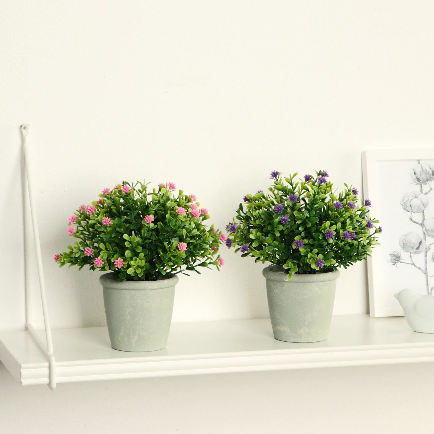 Бонсай в горшке "Цветочная симфония" 8х17 см, микс  9750528