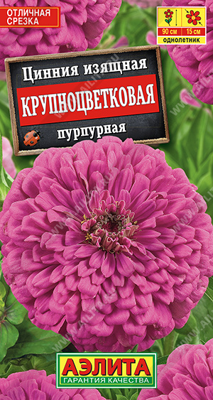 Семена Цинния Крупноцветковая пурпурная 0,3гр Аэлита цв *10/200 Семена Цинния Крупноцветковая пурпурная 0,3гр Аэлита цв *10/200