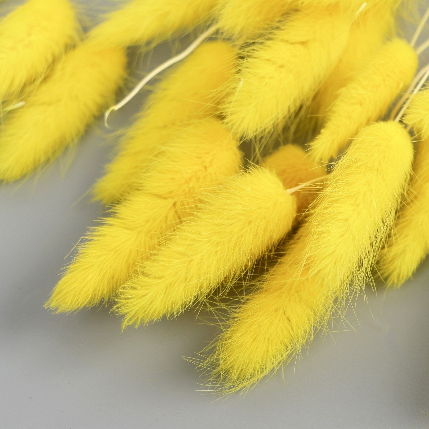 Декор сухоцвет "Лагурус" 65 см, жёлтый   7081264