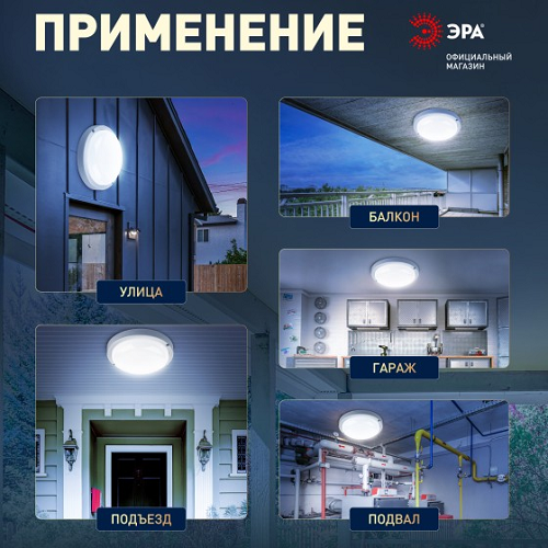 Светильник накладной светодиодный 12Вт 6,5К 1140Лм IP65 круг белый ЖКХ акустический датч. ЭРА *1/40
