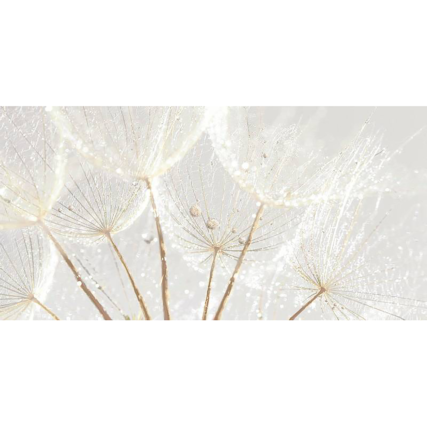 Декор Джаз 250*500 2550-134-01 VINCHI *1/7