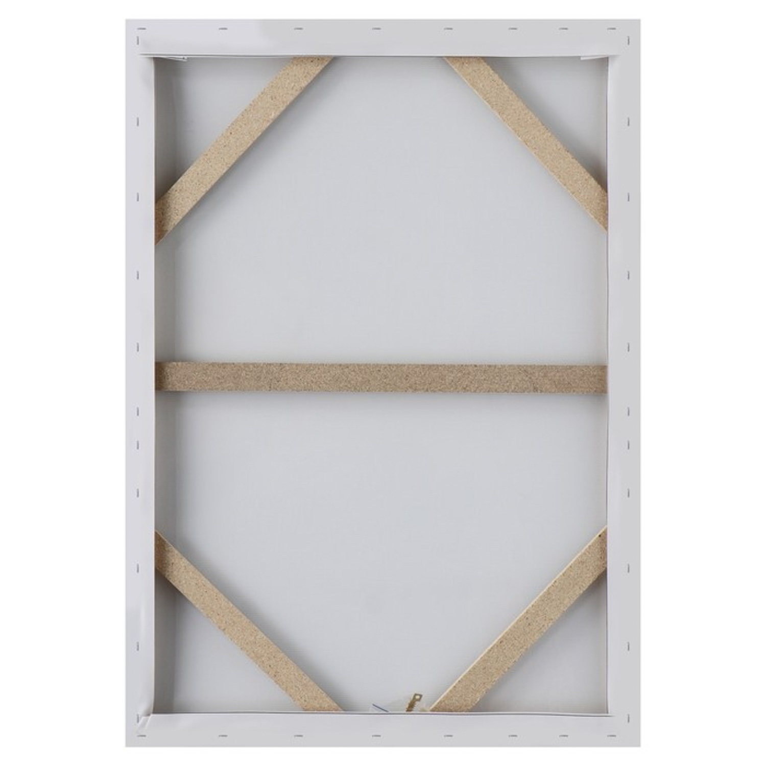 Картина-холст на подрамнике "Белый конь"  50х70 см 9035889