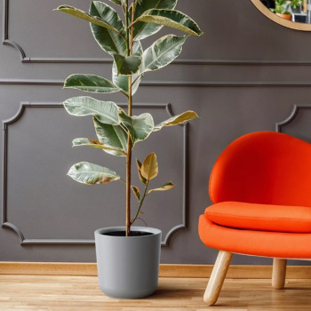 Кашпо пластм. "Лион" 16,6л d верха 300мм h300мм со вставкой 14,5л Серый муссон ЛИ30-70*1