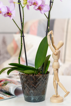 Кашпо пластм. "Manhattan Cristallo" 1,6л d верха 160мм h146мм со вставкой Ночн.река IG671110108*1/20