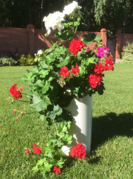 Кашпо пластм.  "Le cone" высокое 41л(вст.18л),d верх.350мм,h600мм Кремов.1200-1 "Tek.A.Tek" *1 Кашпо пластм.  "Le cone" высокое 41л(вст.18л),d верх.350мм,h600мм Кремов.1200-1 "Tek.A.Tek" *1