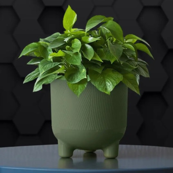 Кашпо пластм. "Фита" 4,3л d верха 190мм h200мм со вставкой Нефрит ФИ19-32 *1/8