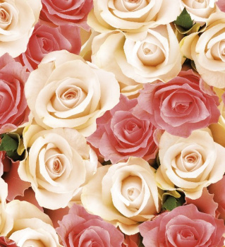 Клеёнка на нетканой основе "Мажор" "Розы розовые и кремовые" шир.1,35м 536/4 "Колорит" *20