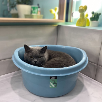 Таз пластм. 12л "Vogue" Небесный арт.SV3939НБС ("Spin&Clean") *1/10