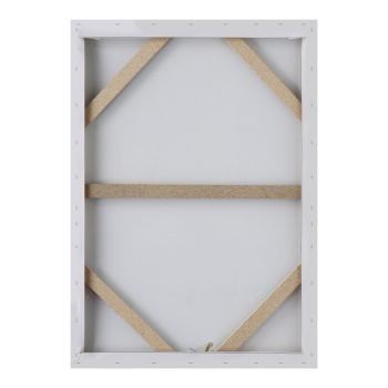 Картина-холст на подрамнике "Тайна" 50х70 см 9035896