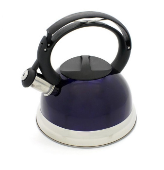 яяяЧайник нерж. со свистком 3,0л д/ИНДУКЦ плит Индиго КТ-107S* "Катунь" *1/12